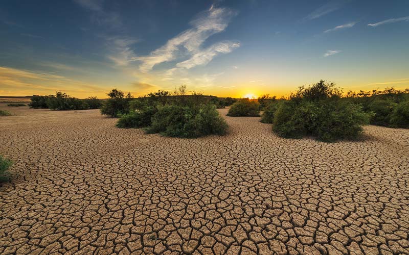 Delo blogpost – come combattere il caldo – terra arida Delo blogpost - come combattere il caldo - terra arida
