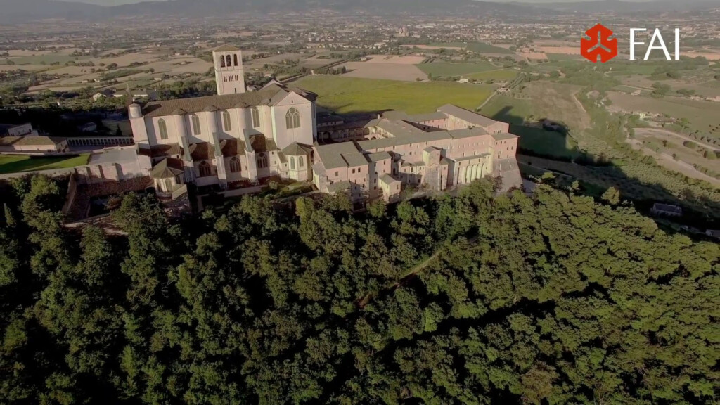 Delo magazine - FAI bosco assisi